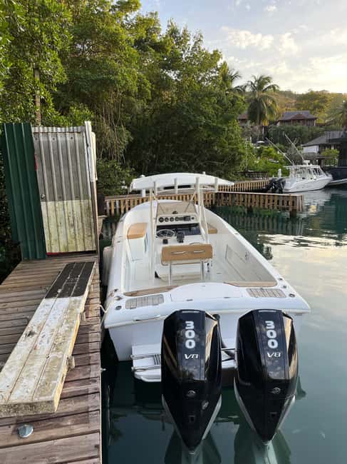 St Lucia: Private Speed Boat Tour from Castries - Who will enjoy this St Lucia boat trip