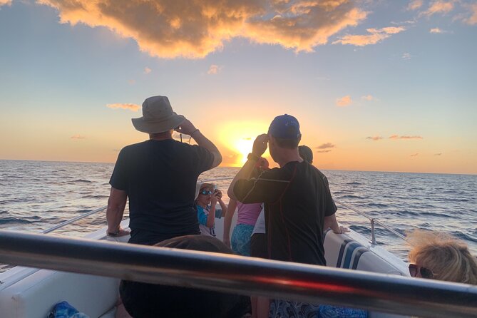 St. Lucia Private Sunset Cruise - Marigot Bay and Rodney Bay - Rodney Bay Marina and its waterfront show