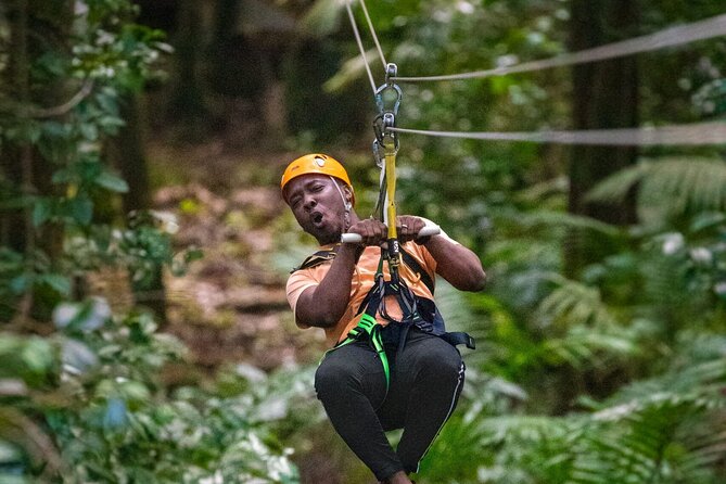 St. Lucia Rainforest Eco-Explorer: Aerial, Zip, and Hike Combo - Eight Zip Lines and Nine Platforms Through the Canopy