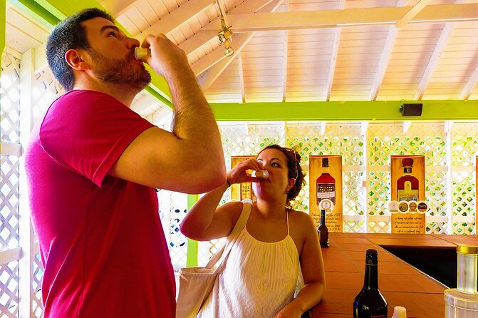 St Lucia Rum Distillery Tour & Mineral Bath Excursion - Sulphur Springs: mud, heat, and a quick reset