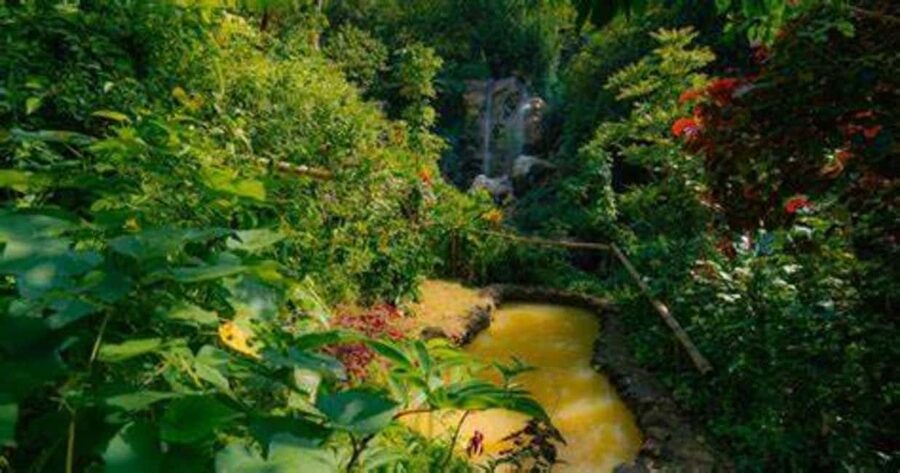 St. Lucia: Safi Estate, Volcano Waterfalls Experience - Key points at a glance