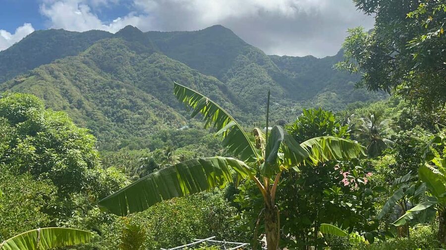 St. Lucia: Safi Estate, Volcano Waterfalls Experience - Walking into Safi Estate near Soufriere