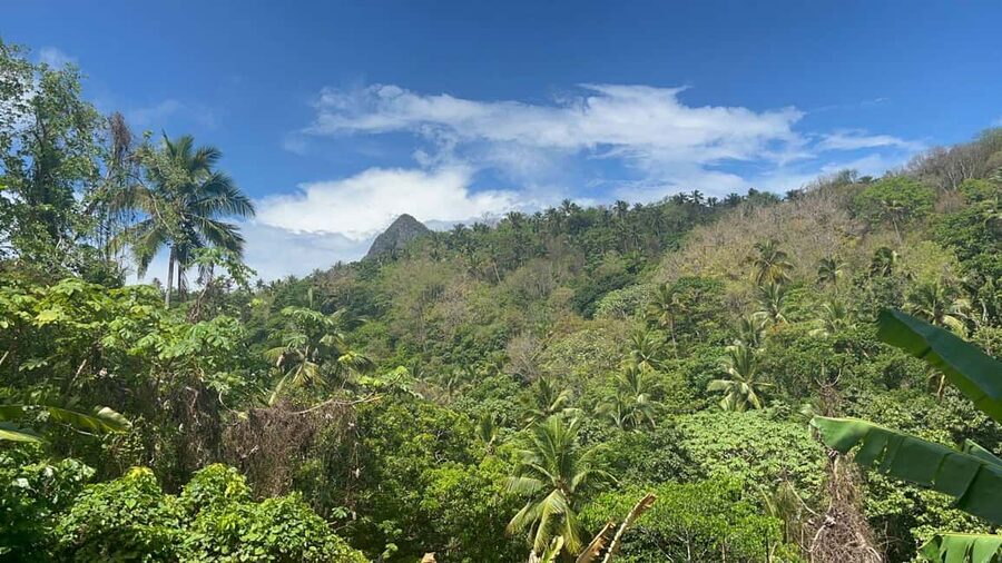 St. Lucia: Safi Estate, Volcano Waterfalls Experience - Coffee traditions and plantation remains