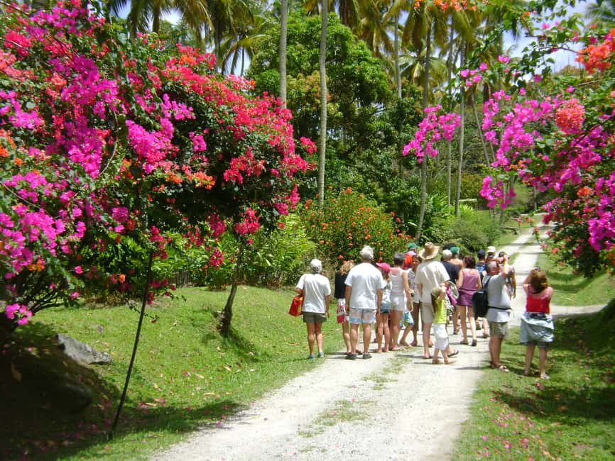 St Lucia: Sapphire Falls Hike with Cruise and Creole Lunch - Key points to know before booking