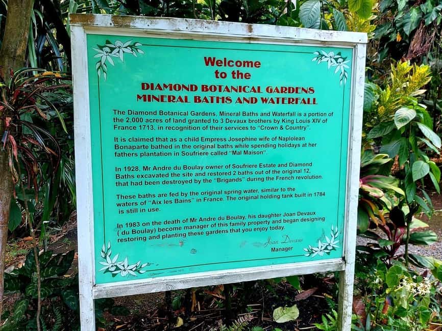 St. Lucia: Scenic Nature Hike & Botanical Garden Escape - What the $121 price really covers