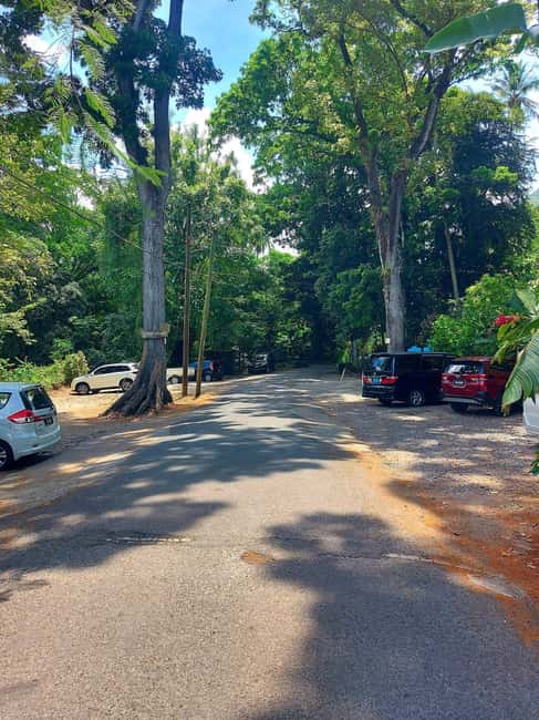 St. Lucia: Scenic Nature Hike & Botanical Garden Escape - What to bring and what to expect