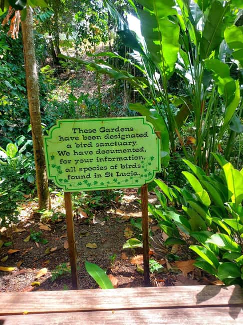 St. Lucia: Scenic Nature Hike & Botanical Garden Escape - Who will get the most from this tour?