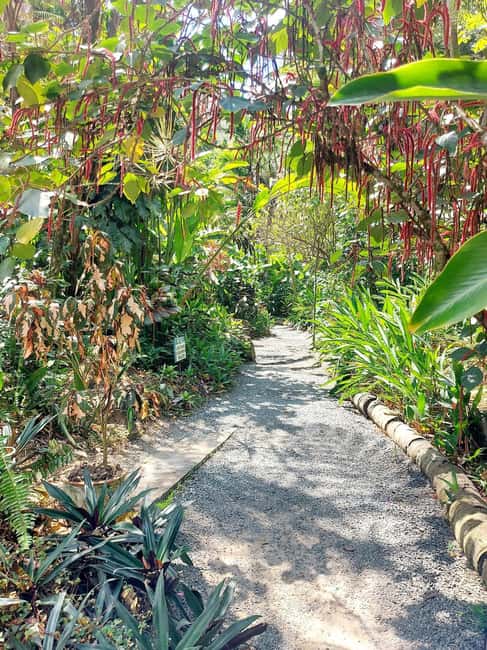 St. Lucia: Scenic Nature Hike & Botanical Garden Escape - Leaving Castries for St. Lucia’s south coast