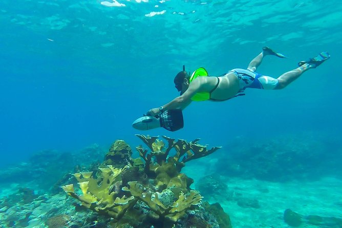 St. Lucia Speedboat and Power Snorkel From Castries - Why this tour feels different from a normal snorkel trip
