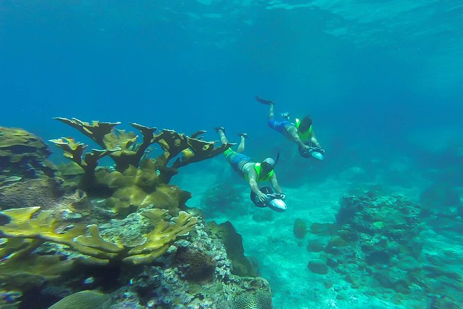 St. Lucia Speedboat and Power Snorkel From Castries - Who will enjoy this St. Lucia excursion most?