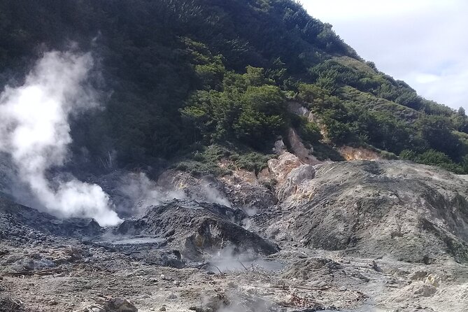 St Lucia Sulphur Springs Drive- in Volcano Tour & Therapeutic Mud baths - Why this private St. Lucia day works well
