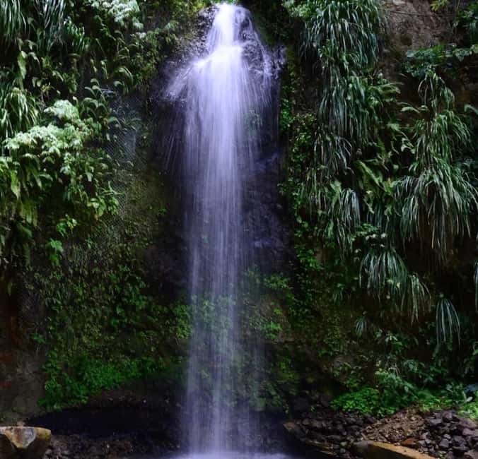 St. Lucia: Sulphur Springs Mud Bath and Toraille Waterfall - Creole lunch is more than a break