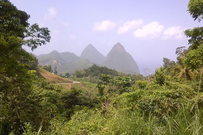 St. Lucia Tet Paul Nature Trail Tour - Key Points to Know Before You Go