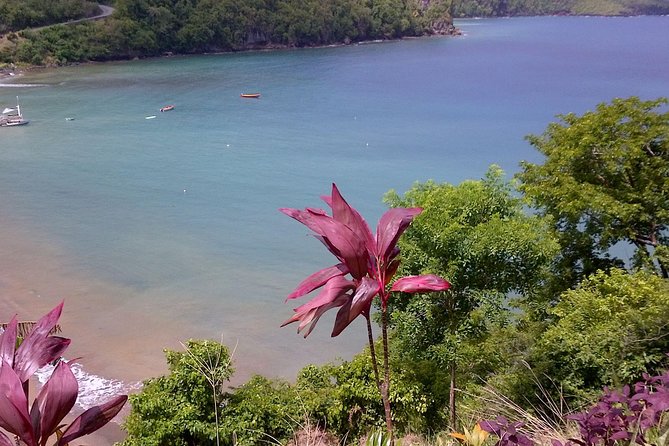 St. Lucia Tet Paul Nature Trail Tour - A Look at St. Lucia’s Dug-Out Canoes