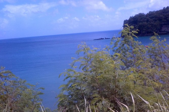 St. Lucia Tet Paul Nature Trail Tour - Descending Toward Soufriere Bay