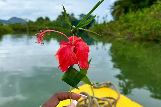 St Lucia Treasures - (Chocolates Rum and Rafting) - Roseau River bamboo rafting: the quiet finale