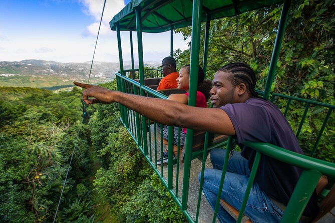 St Lucia Ultimate 3: Aerial Tram, Zipline and Hiking at Rainforest Adventures - From Castries to the rainforest park