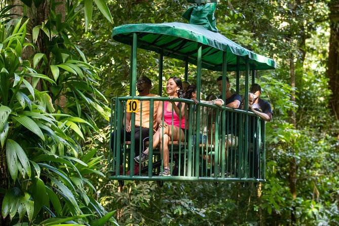 St Lucia Ultimate 3: Aerial Tram, Zipline and Hiking at Rainforest Adventures - Eight zip lines through the treetops