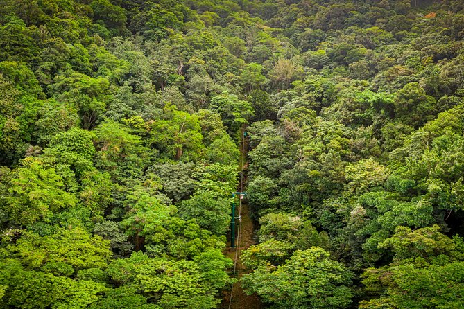 St Lucia Ultimate 3: Aerial Tram, Zipline and Hiking at Rainforest Adventures - The walk back and second tram ride