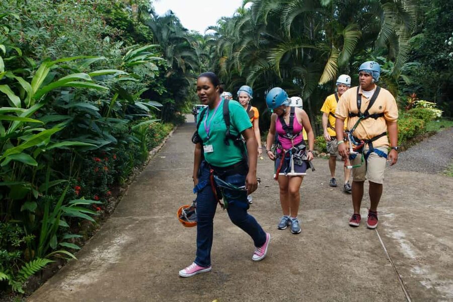 St Lucia Ultimate 3 Package: Aerial Tram Zip Line & Hiking - Three ways to see St. Lucia’s rainforest