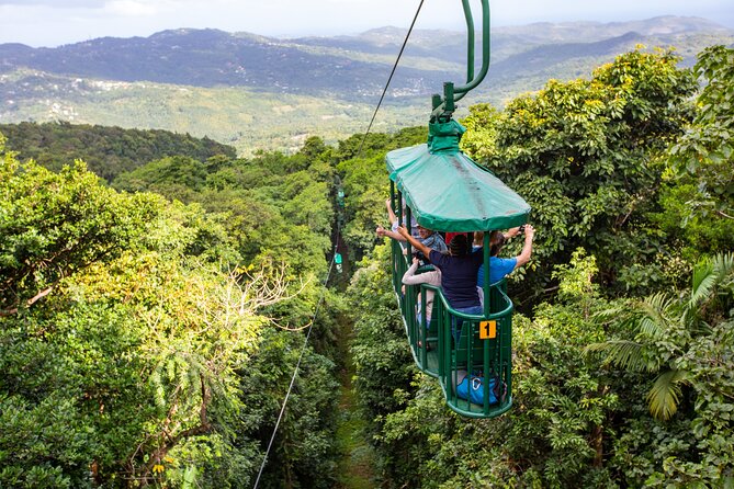 St Lucia Ultimate 3 Package: Aerial Tram, Zipline and Hiking - Five details worth knowing before you book