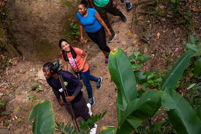 St Lucia Ultimate 3 Package: Aerial Tram, Zipline and Hiking - Is $109 a fair price?