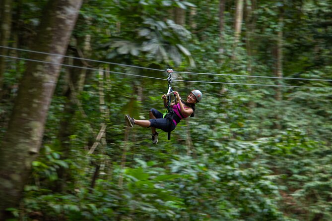 St Lucia Ultimate 3 Package: Aerial Tram, Zipline and Hiking - Port timing and hotel pickup