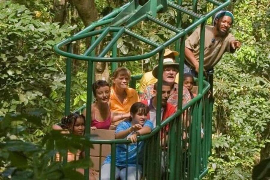 St. Lucia: Zip Line, Aerial Tram, and Hiking Tour - Key things to know before booking