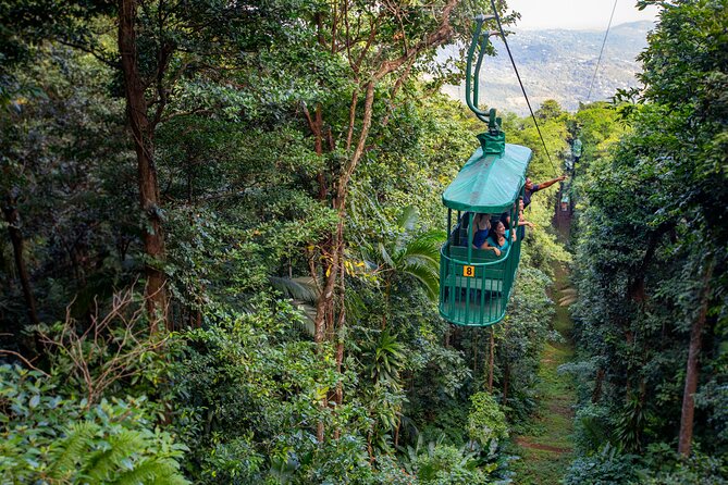 St. Lucia Zip line, Aerial Tram and Hiking tour Ultimate 3 - Key points to know before you go