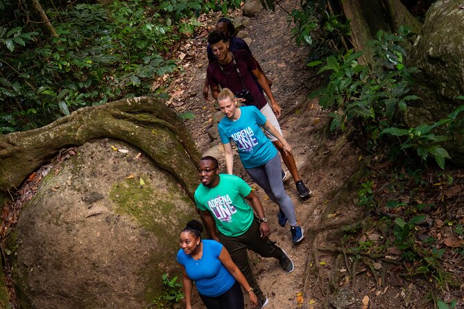 St. Lucia Zip line, Aerial Tram and Hiking tour Ultimate 3 - The short hike is harder than it sounds