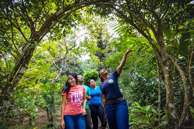St. Lucia Zip line, Aerial Tram and Hiking tour Ultimate 3 - Eight ziplines provide the morning’s main thrill