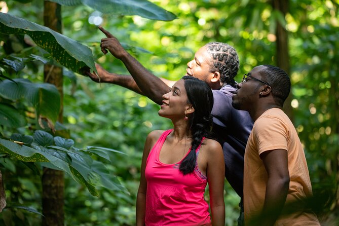 St. Lucia Zip line, Aerial Tram and Hiking tour Ultimate 3 - The return hike brings the real physical challenge