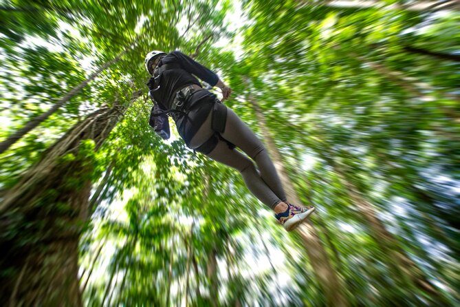 St. Lucia Zip line, Aerial Tram and Hiking tour Ultimate 3 - Is $95 a good value?
