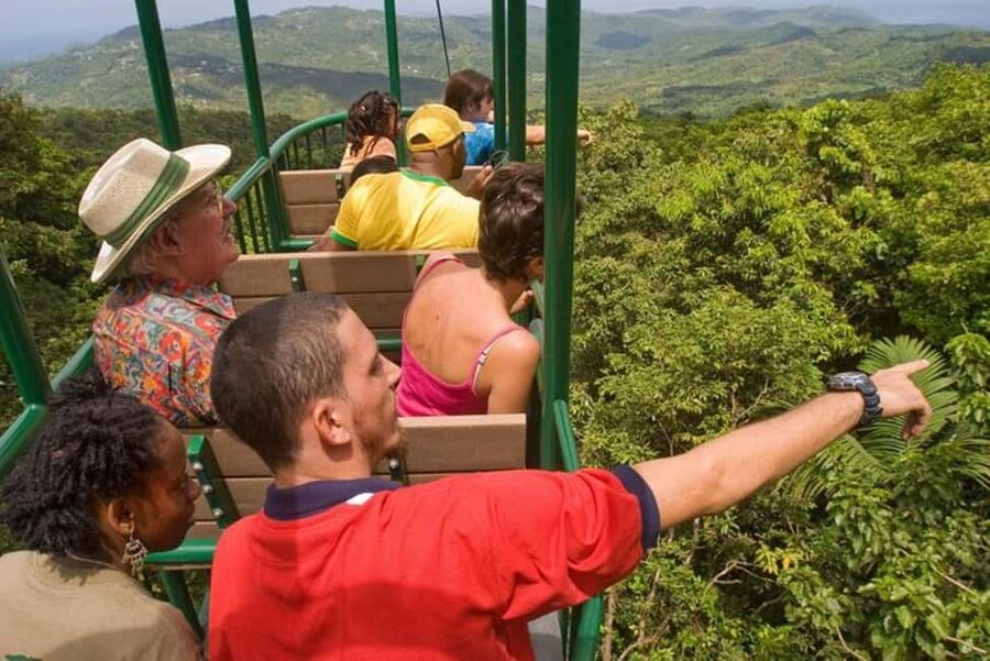 St. Lucia: Zip Line, Aerial Tram, and Hiking Tour - Getting to Castries Waterworks Forest Reserve