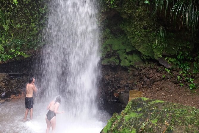 Sulphur Springs Mud Bath and Toraille Waterfall Tour with Creole Lunch - Key points to know before you book
