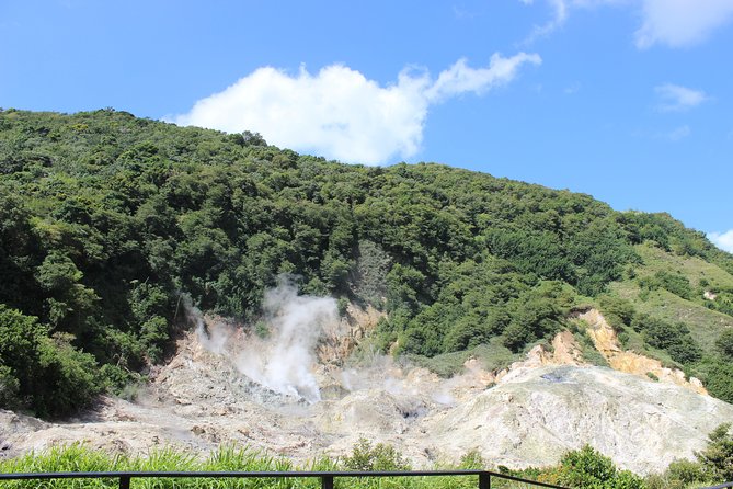 The Best of Saint Lucia Tour - Diamond Falls Botanical Gardens