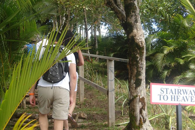 The Best of Saint Lucia Tour - Tet Paul Nature Trail and the Pitons