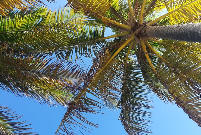 The Ultimate St. Lucian Experience Tour for Cruise ship Passengers - Practical Questions to Ask Before Departure