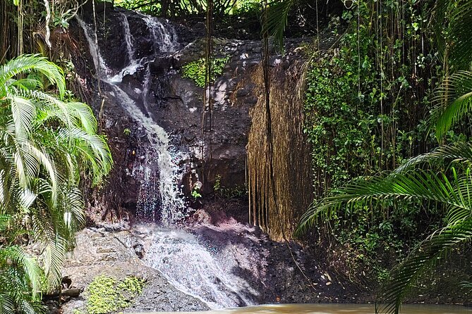 Transportation To St. Lucia Zipline Adventure - The Cost: $55 Plus The Activity Fee