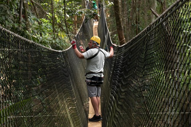 Treetop Adventure Park Canopy Tour - Quick facts about the canopy tour