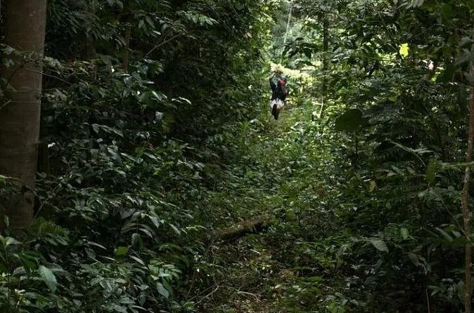 Treetop Adventure Park Canopy Tour - How difficult is the course?