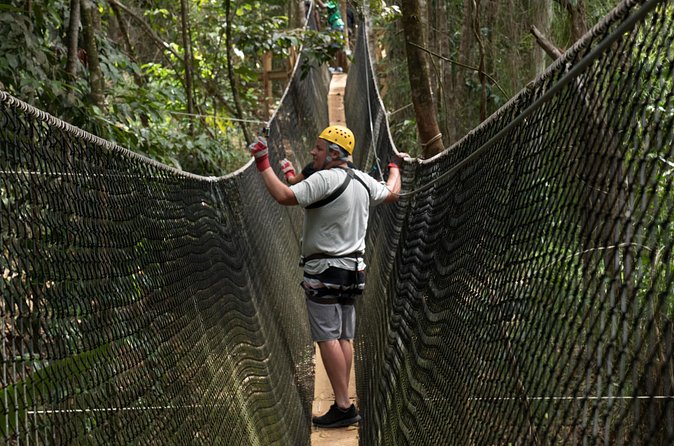 Treetop Adventure Park Canopy Tour - Timing, groups, and cruise-port planning
