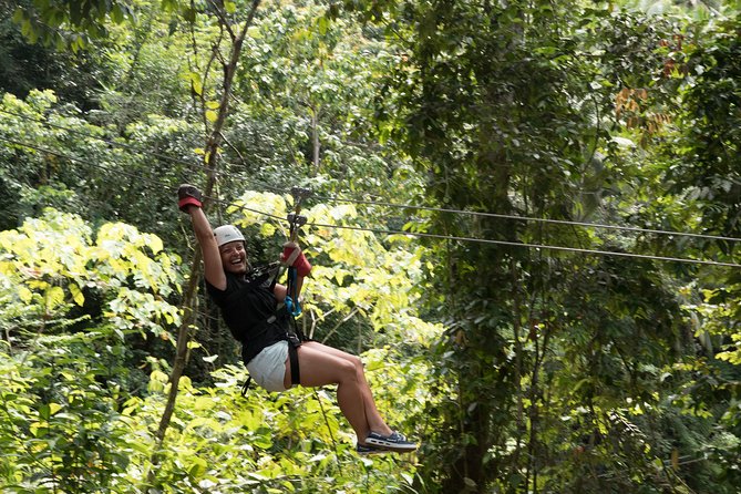 Treetop Canopy Adventure - Two net bridges and the spaces between rides