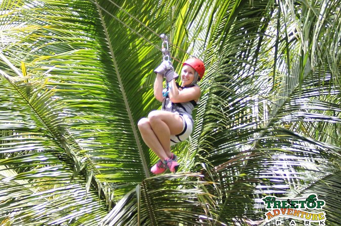 Treetop Canopy Adventure - Views from up to 150 feet