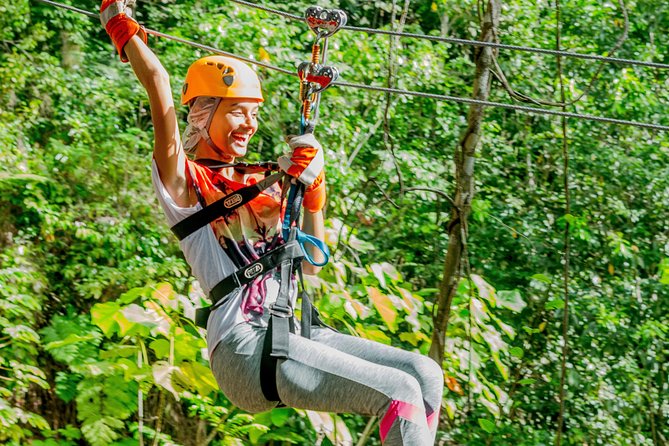 Treetop Zipline Experience From Castries - The forest is part of the ride