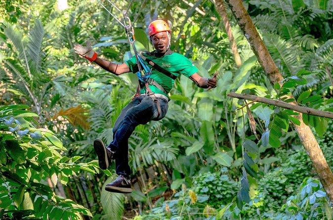 Treetop Zipline Experience From Castries - The net bridge adds a different challenge