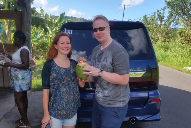 Trip to Soufiere: Volcano, Twin Pitons, Waterfall, Mud Bath & Botanical Garden - Sulphur Springs: the tour’s messy highlight