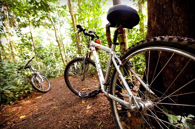 Waterfall Cycling Adventure In St. Lucia - Learning about St. Lucia’s crops on the ride back