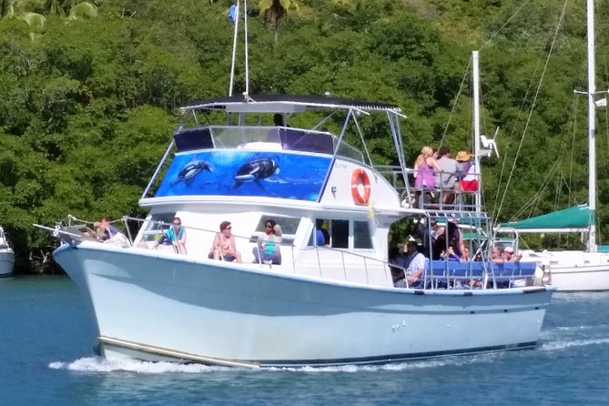 Whale and Dolphin Watching Cruise in St Lucia - Leaving Vigie Marina at 8 a.m.