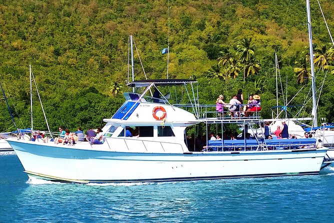 Whale and Dolphin Watching Cruise in St Lucia - Drinks, shade, and comfort at sea